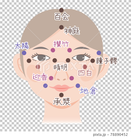 わかりやすい顔のツボの図解イラスト素材 正面 女性向けのイラスト素材