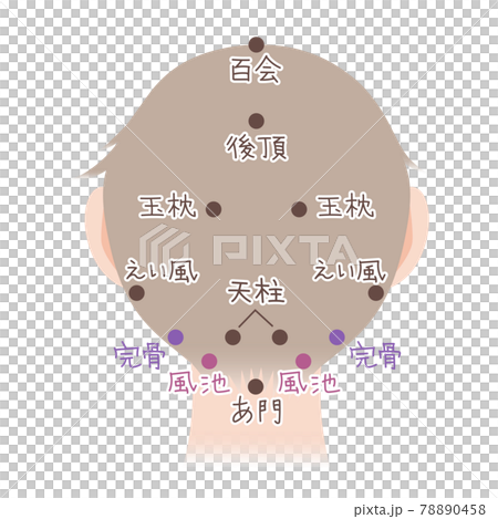 Easy-to-understand illustration material of head acupoints, backwards, for women Easy-to-understand illustration material of head acupoints, backwards, for women 78890458
