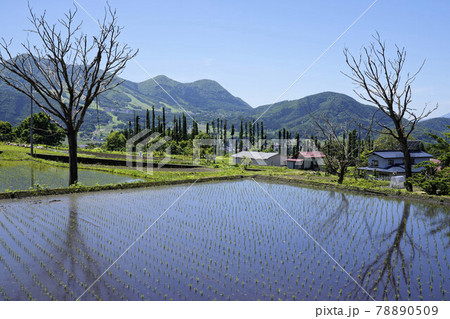 木島平村の里山風景 78890509