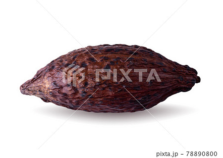 Cocoa pod and beans isolated on a white background. 78890800