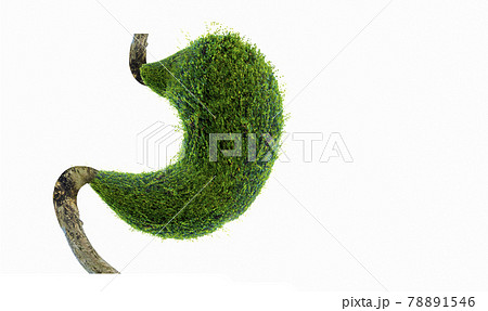 The tree (stomach) is a 3D illustration of the medical environmental concept. 78891546