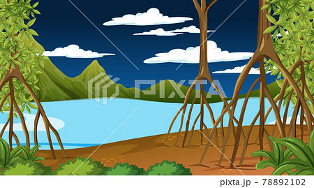 Nature scene with Mangrove forest at night in cartoon style 78892102