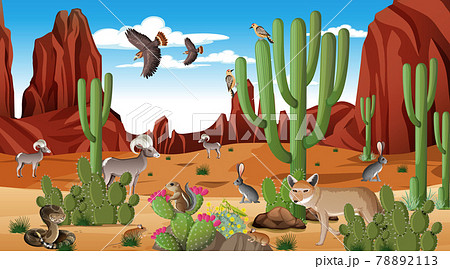 Desert forest landscape at daytime scene with willd animals Desert forest landscape at daytime scene with willd animals 78892113