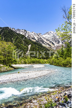春の上高地 河童橋から望む穗高連峰の写真素材 [78892743] - PIXTA