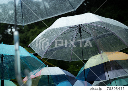 雨の日 雨の日 78893455