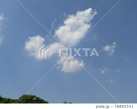 梅雨の晴れ間の青い空と白い雲 78895541