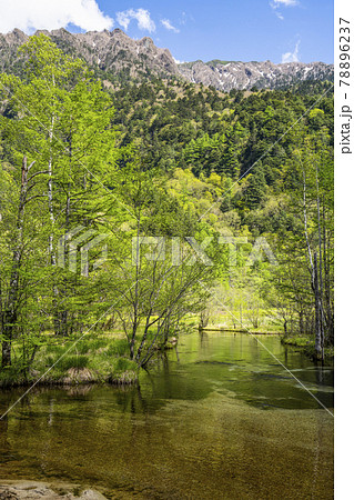 春の上高地　田代池 78896237