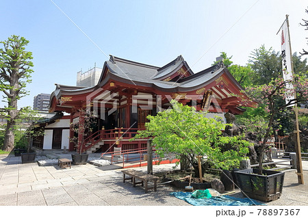 すさのお神社（荒川区） 78897367
