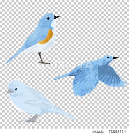 青い鳥の水彩ベクターイラストセット 青い鳥の水彩ベクターイラストセット 78898214