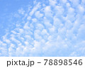 青空の下のうろこ雲 78898546