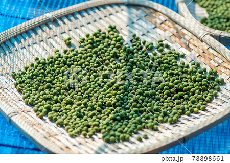 実山椒 山椒の実 粉山椒の写真素材 7661 実山椒 山椒の実 粉山椒の写真素材 7661