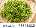 実山椒　山椒の実 78898682