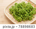 実山椒　山椒の実 78898683