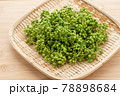 実山椒　山椒の実 78898684