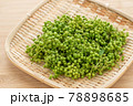 実山椒　山椒の実 78898685