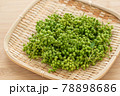 実山椒　山椒の実 78898686