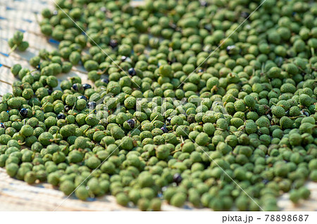 実山椒 山椒の実 粉山椒の写真素材 7687 実山椒 山椒の実 粉山椒の写真素材 7687