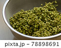 実山椒　山椒の実　粉山椒 78898691