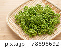 実山椒　山椒の実 78898692
