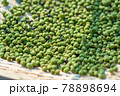 実山椒　山椒の実　粉山椒 78898694