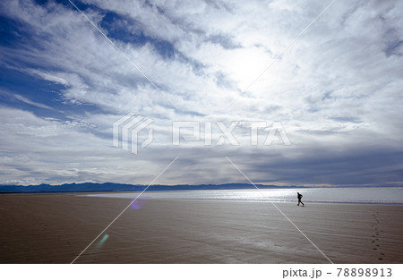 Rabbit Island 78898913