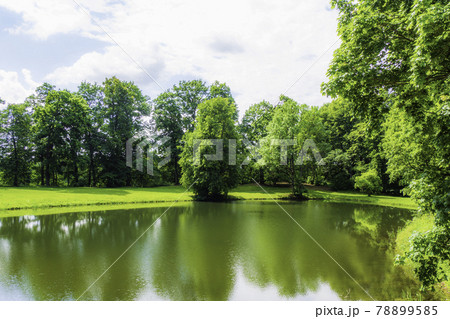 Beautiful Green Park on Cloudy Day with a Pond Beautiful Green Park on Cloudy Day with a Pond 78899585