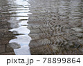 水面　反射　きらきら 78899864