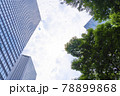 ビル　空　雲　高層ビル　ビジネス　緑　エコロジー 78899868