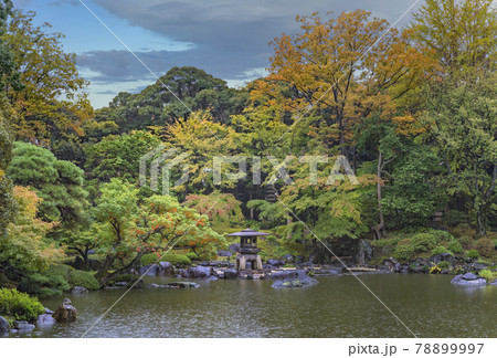 [東京・西ヶ原] 旧古河庭園の枯山水の巨大な雪見石灯籠の下に初秋の雨から雨宿りする猫。 78899997