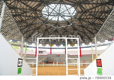 徳之島なくさみ館の闘技場内 78900538