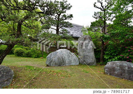 高槻城08 高槻城08 78901717