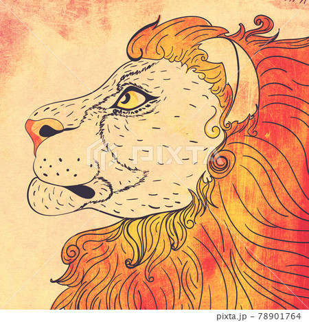 Lion head profile grunge design Lion head profile grunge design 78901764