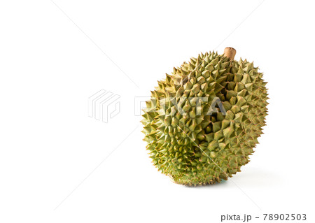 Ripe Monthong Durian fruit isolated on white background, 78902503
