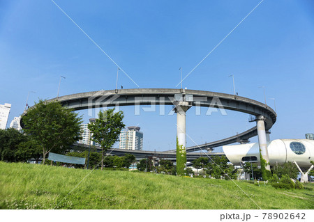 木 植物 空 78902642