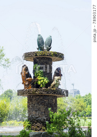 木 ガーデン 庭園 78903177