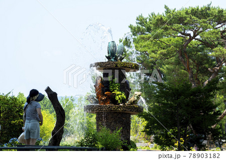 木 ガーデン 庭園 78903182