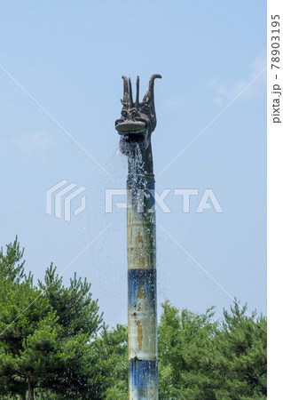 木 ガーデン 庭園 78903195