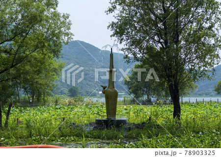 木 ガーデン 庭園 78903325