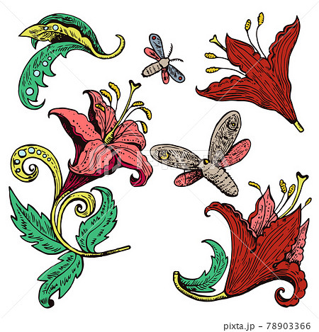 Vintage ink drawn lily flowers and butterflies. Retro decoration elements. Vintage ink drawn lily flowers and butterflies. Retro decoration elements. 78903366