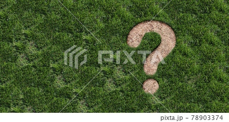 Landscaping Questions 78903374