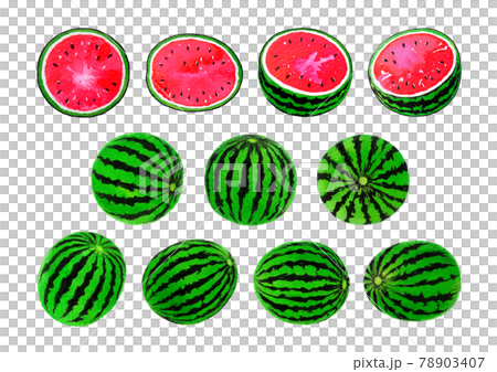 Watermelon illustration material Watermelon illustration material 78903407