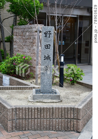 野田城09 78903629
