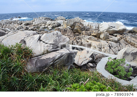 ムシロ瀬の亜熱帯植物と花崗岩の岩棚 78903974