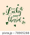 Happy St. Patricks Day vector illustration 78905288