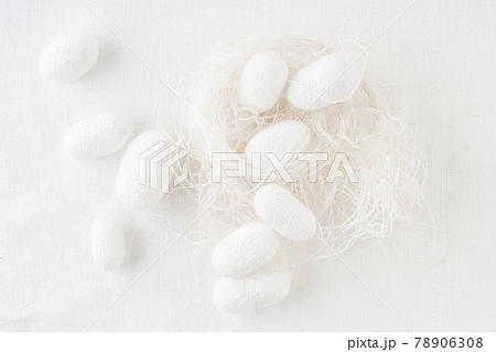 background with silk cocoons, commercially bred caterpillar of silkworm moth background with silk cocoons, commercially bred caterpillar of silkworm moth 78906308