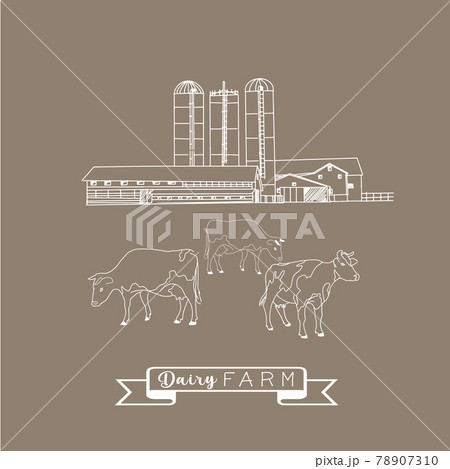 Dairy farm, herd of cows Dairy farm, herd of cows 78907310
