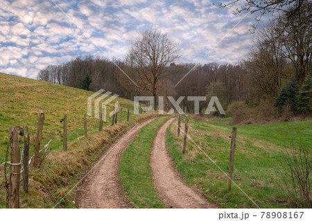 Bergischer Panoramasteig, Bergisches Land, Germany Bergischer Panoramasteig, Bergisches Land, Germany 78908167