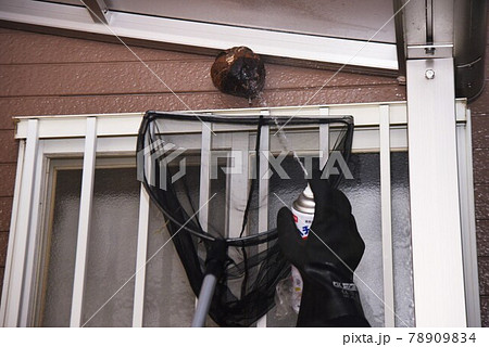 スズメバチ駆除・巣の撤去作業 78909834