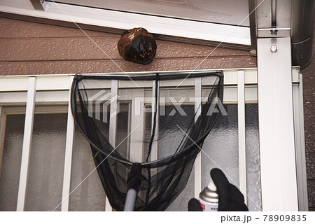 スズメバチ駆除・巣の撤去作業 78909835