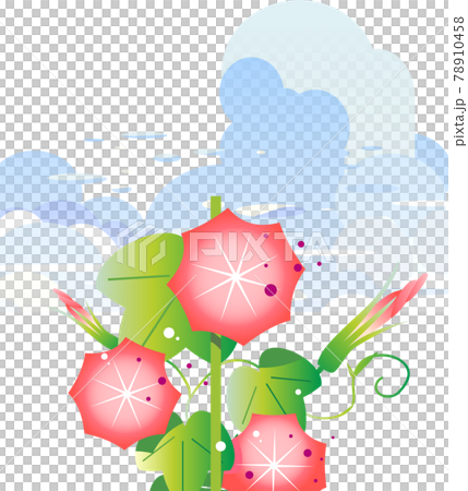 Red morning glory and summer sky background Red morning glory and summer sky background 78910458